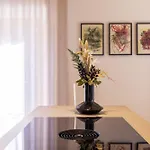 Appartement Baeren *