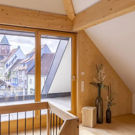 Apartment Baeren Elzach