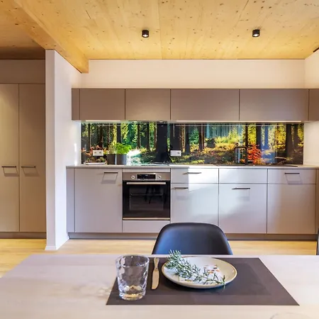 Apartment Bären Elzach
